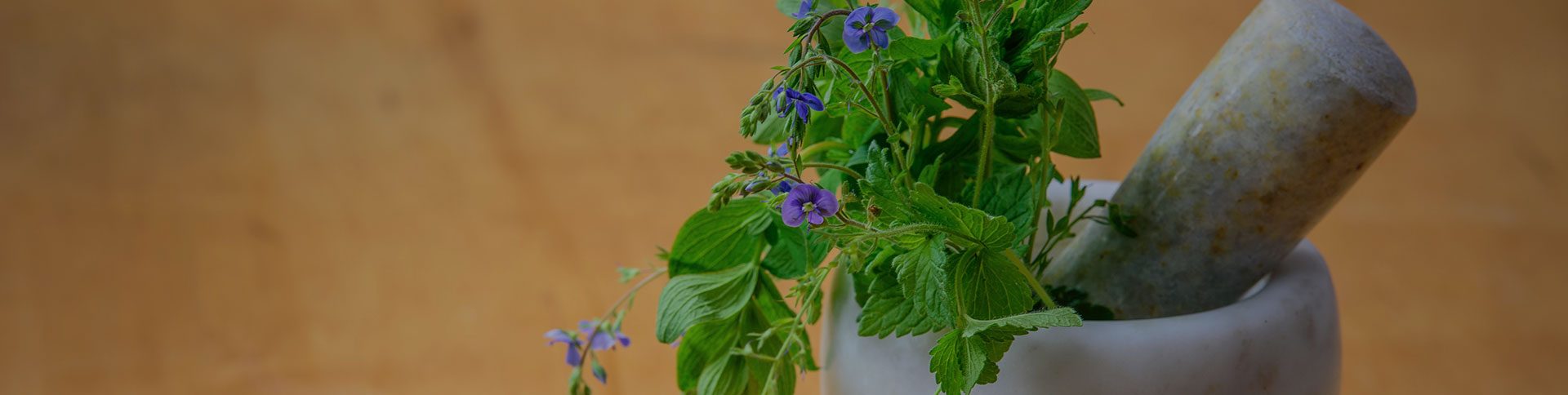 種藥吧-中藥供需信息發(fā)布微信平臺(tái)|一網(wǎng)天行-網(wǎng)站建設(shè)小程序APP系統(tǒng)軟件開發(fā)公司