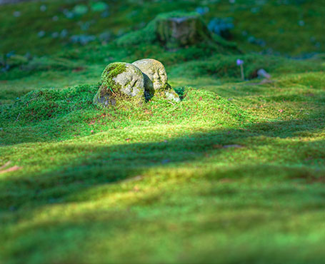 中影之星文化傳播企業(yè)官網