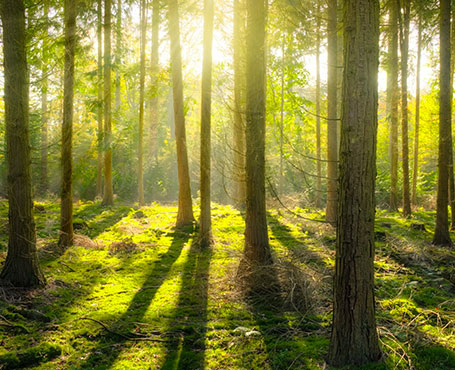 愛的天使-空氣凈化器電商平臺|一網天行-網站建設小程序APP系統(tǒng)軟件開發(fā)公司